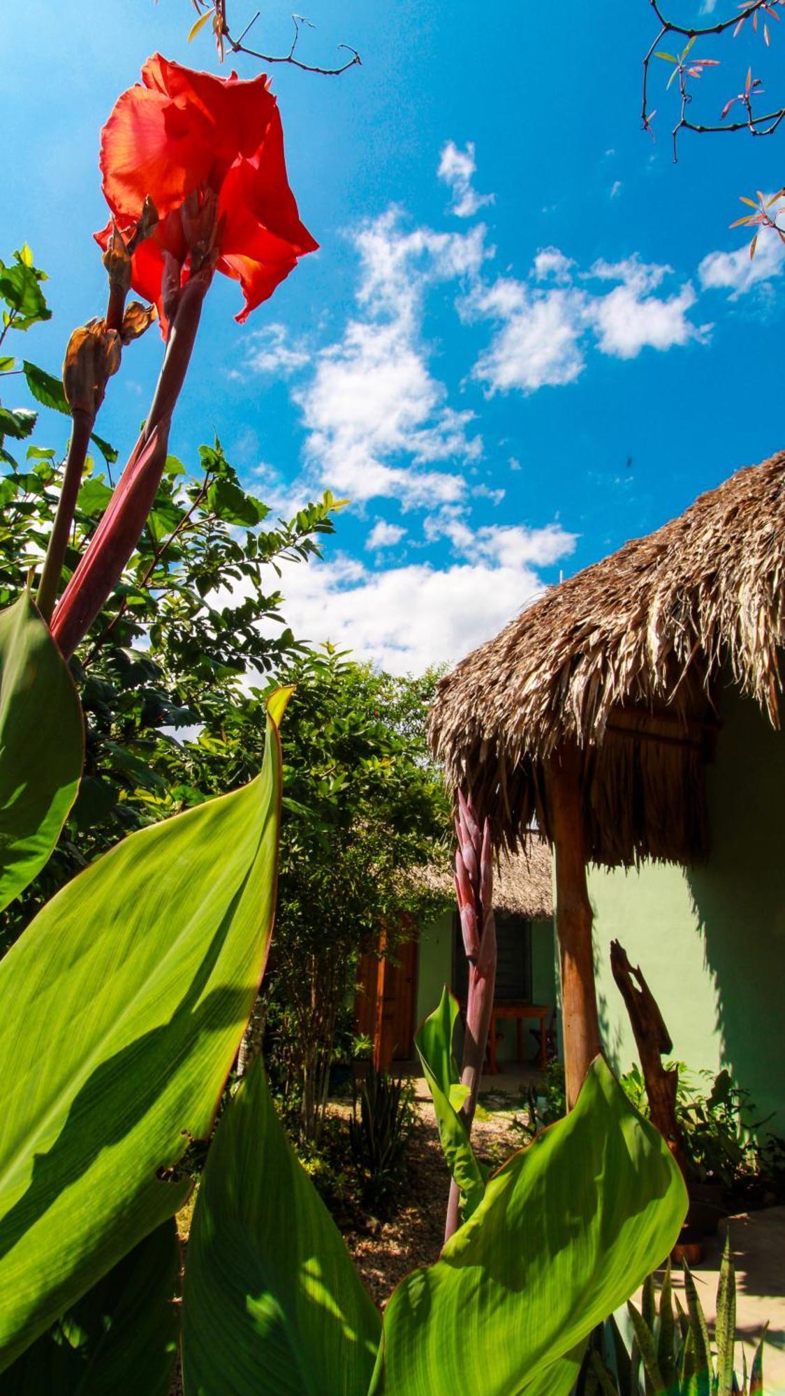 Las Palmas Bacalar Exteriér fotografie