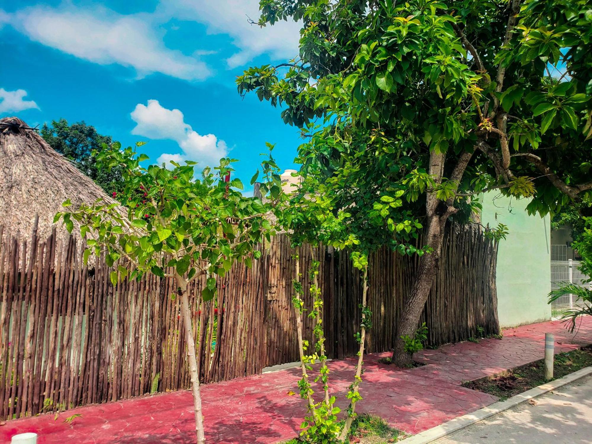 Las Palmas Bacalar Exteriér fotografie